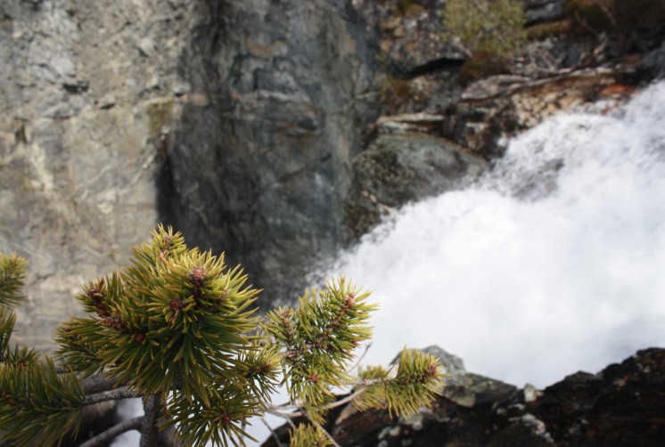 Водопад Vettisfossen издалека