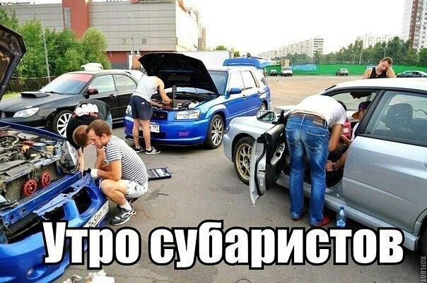 Утро субаристов 263bd46s 960